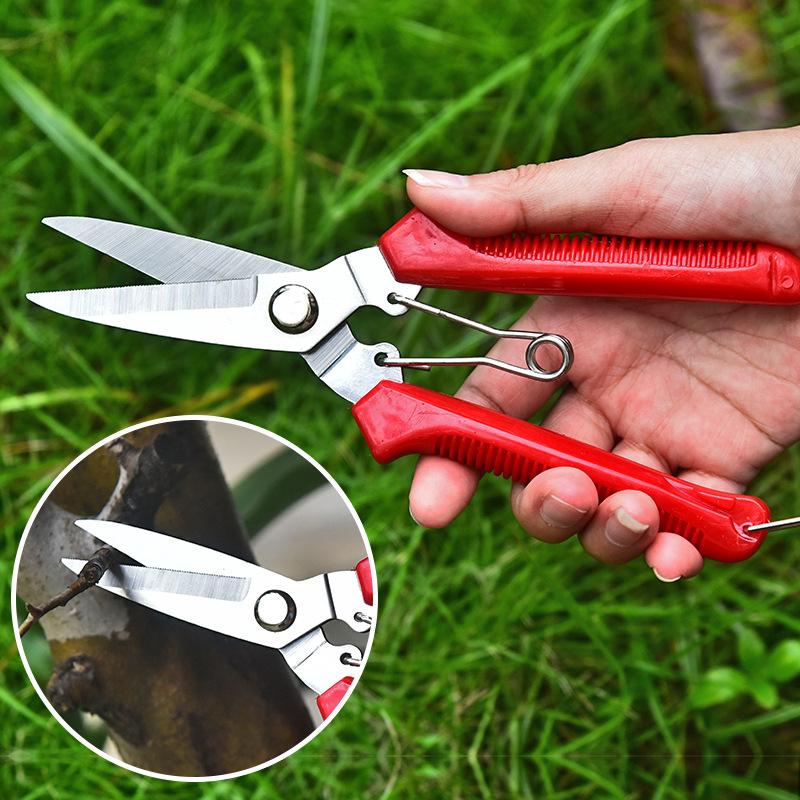 Garden Scissors Straight Head  - огляд і ціна Gardening Tools Combo
