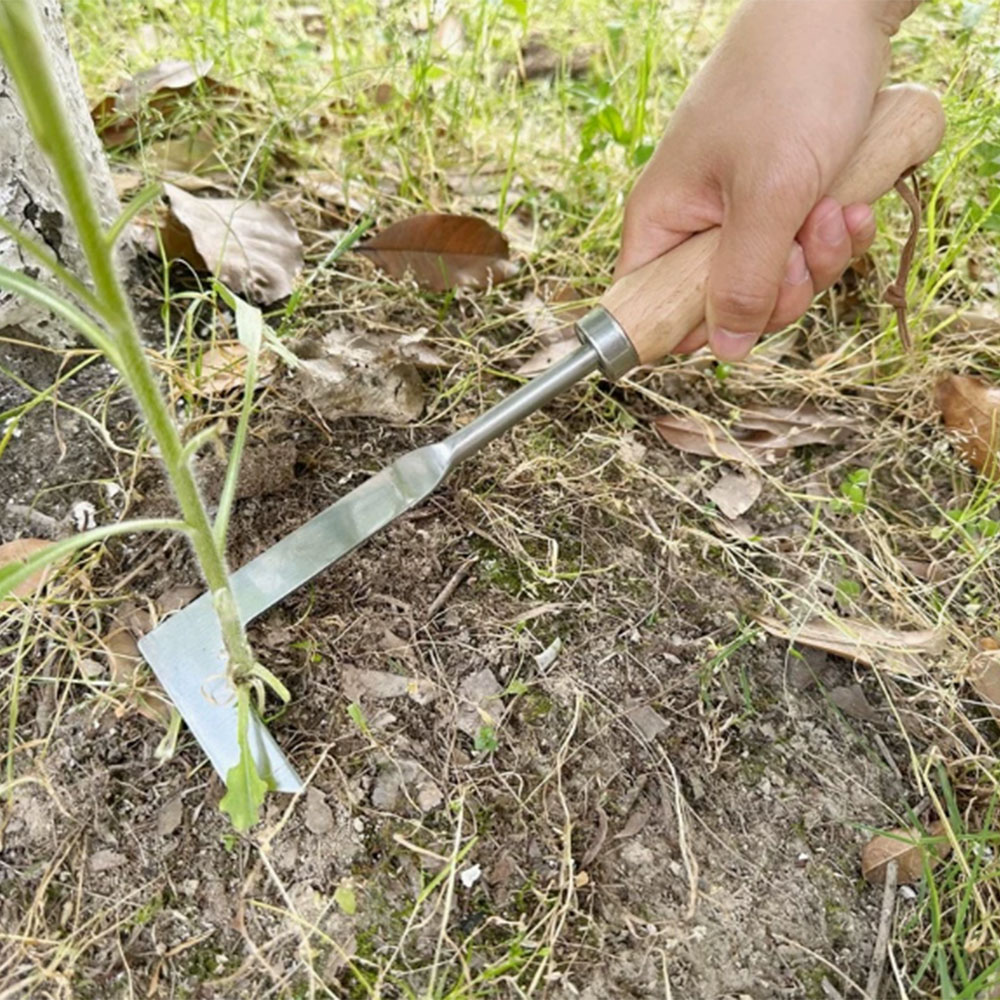 Stainless Steel Gap Weeding To - огляд і ціна Gardening Tools Used For Weeding