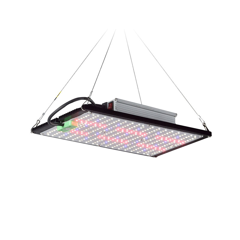 LED Quantum‑Board Grow Light F - огляд і ціна Led Grow Light
