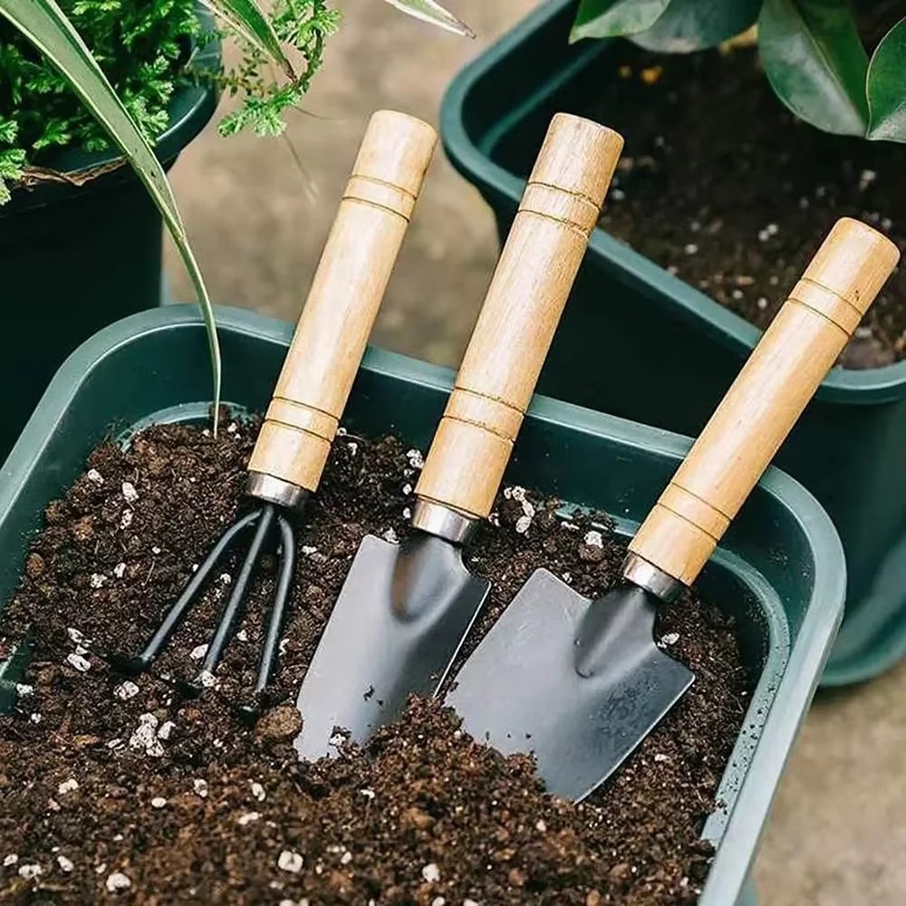3Pcs/Set Mini Garden Tool Set  - огляд і ціна Gardening Tools Combo