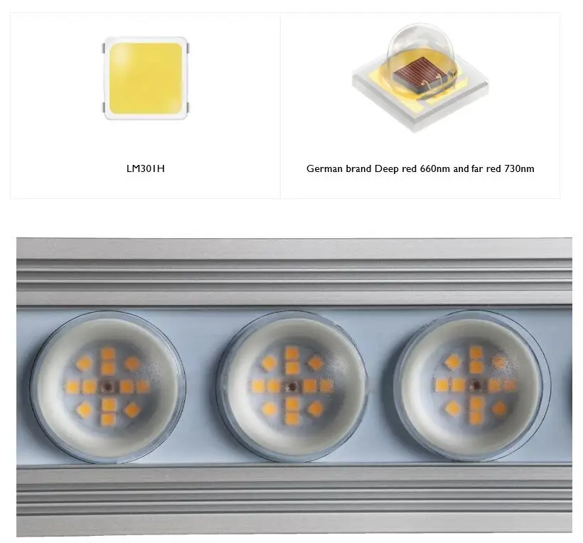 Koray 900W Indoor full spectru - огляд і ціна Led Grow Light